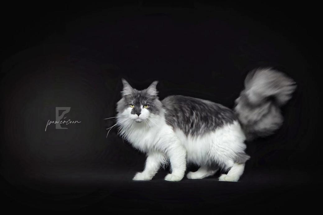 JCH. Powerhc of Sanshun